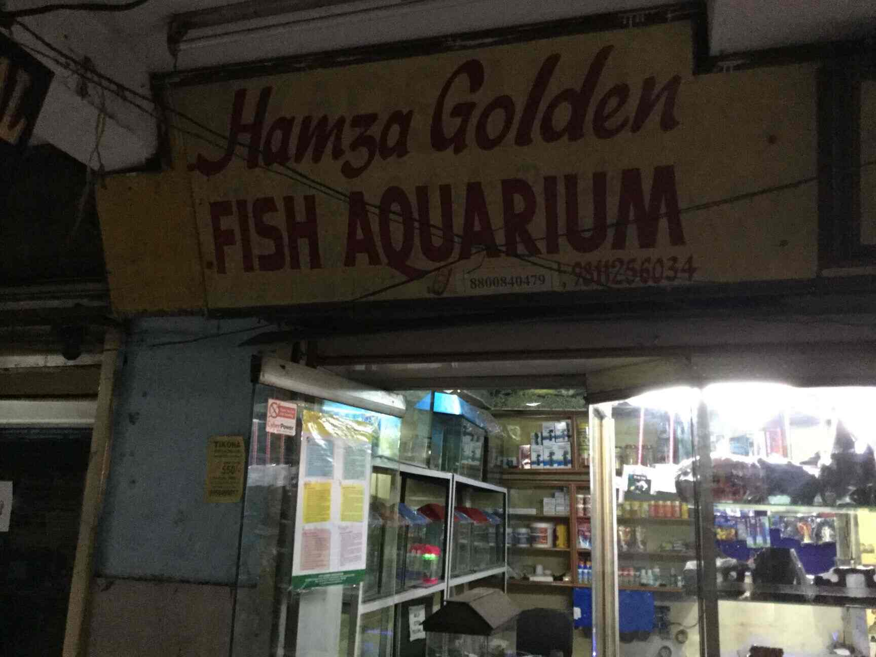 Hamza Golden Fish Aquarium Noida Sector 27 Aquarium Fish Dealers In Noida Delhi Justdial