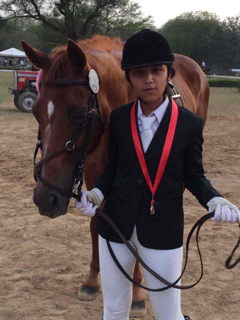 Top 30 Horse Riding Schools in Dwarka Best Horse Riding Training