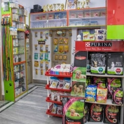Rosy Petz World in Palta North 24 Parganas Best Pet Shops in