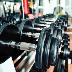 Dumbbells gym ashok nagar new arrivals