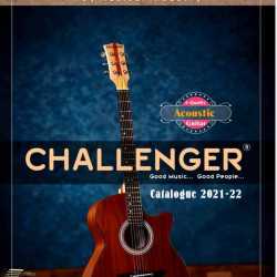 Challenger sales guitar company