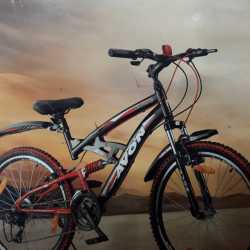 Avon sales altair cycle