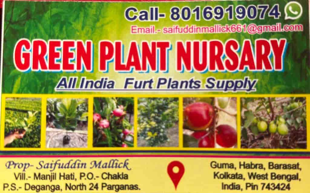 Catalogue Green Plant Nursery in Manjilhati , North 24 Parganas