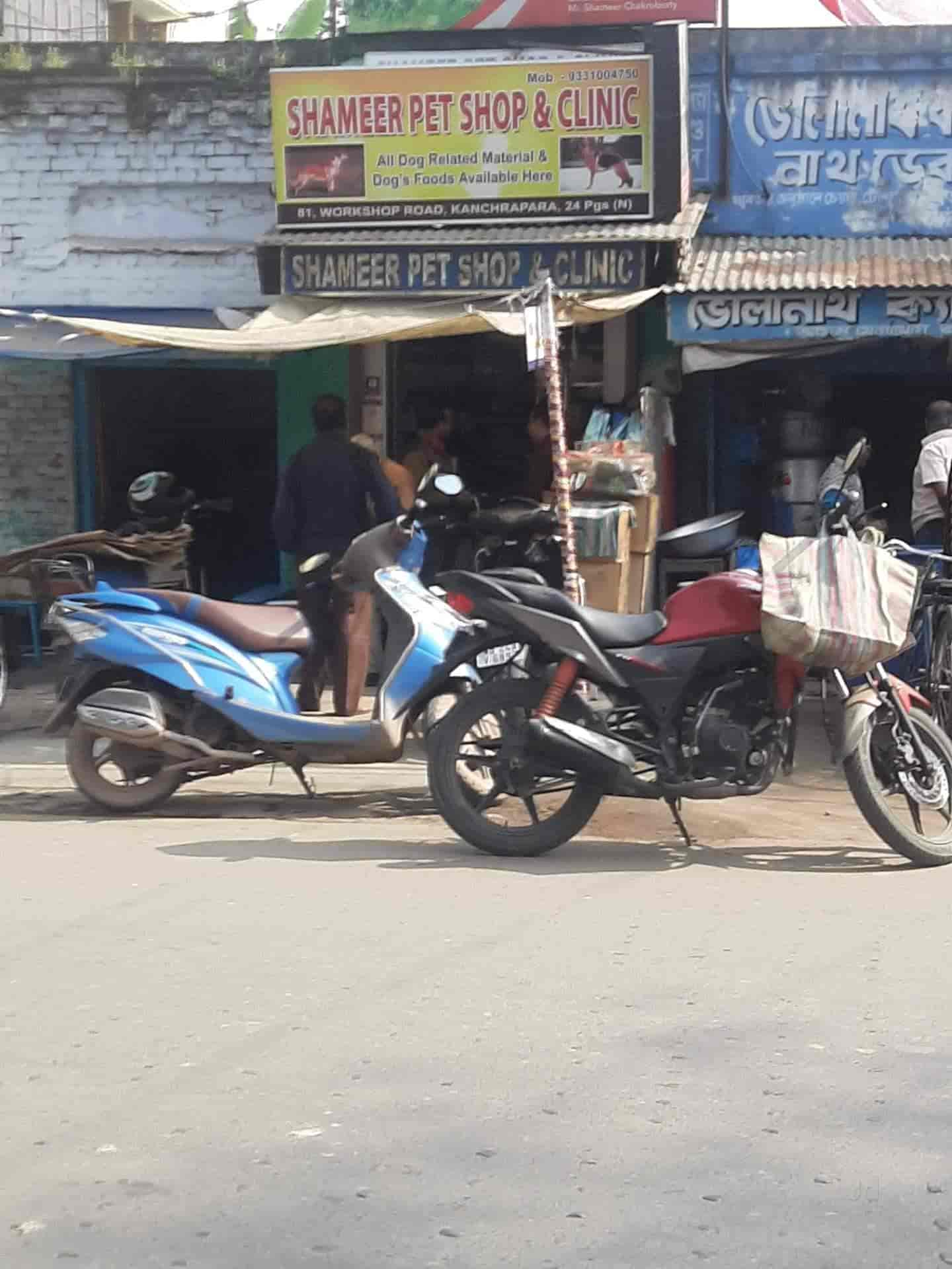 Pet shop north road discount