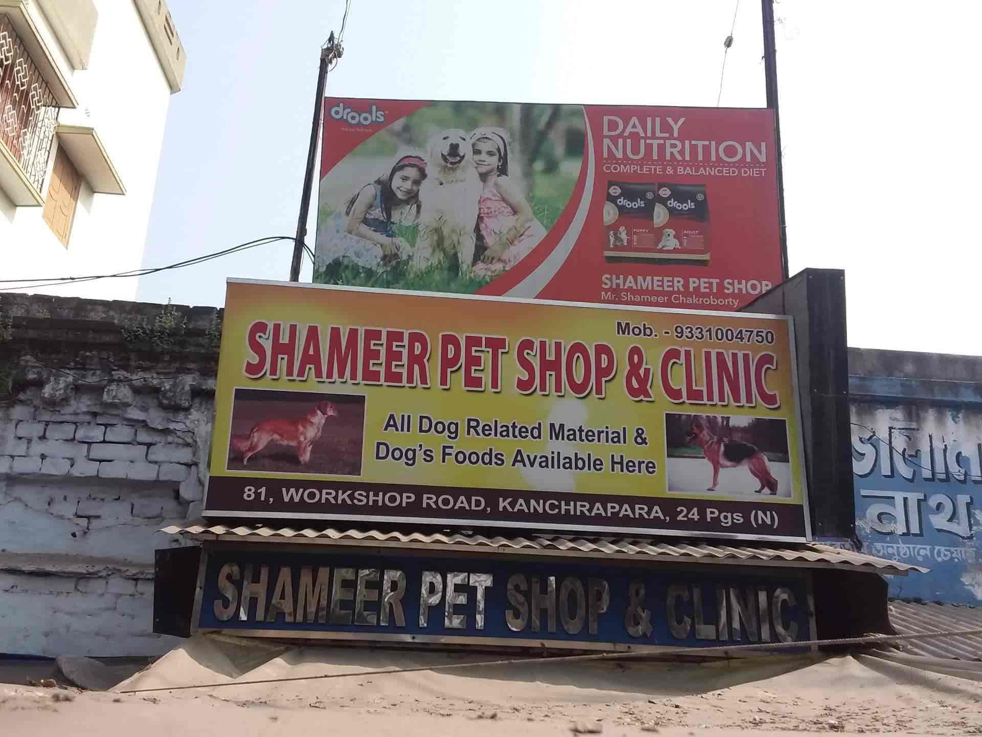Pet shop north road store