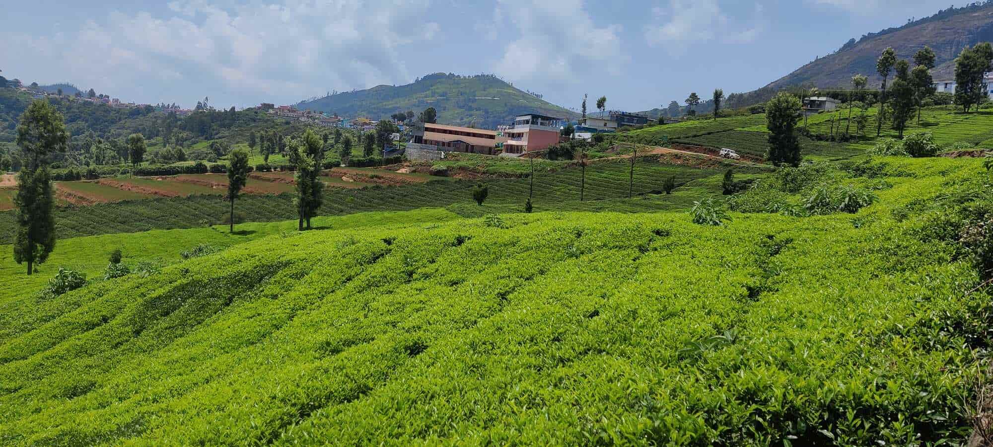 Top Real Estate Agents in Lovedale, Ooty Best Estate Brokers Justdial