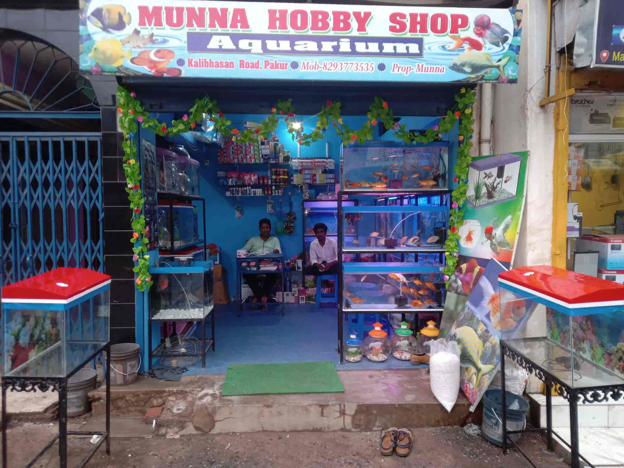 Top Fish Tank Dealers in Malda Best Aquarium Suppliers Justdial