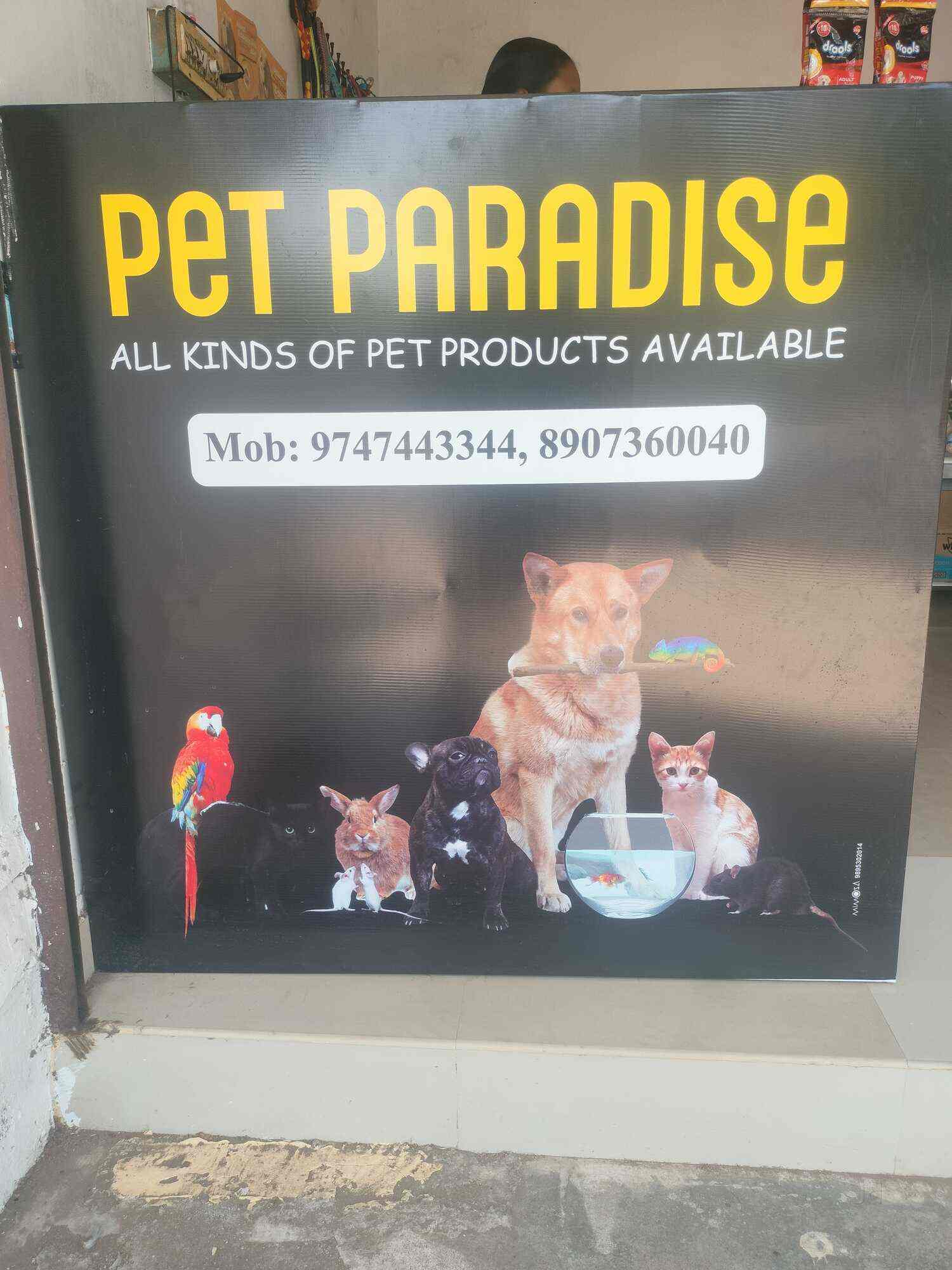 Pet paradise in Pudussery,Palakkad Best Dog Food Retailers in