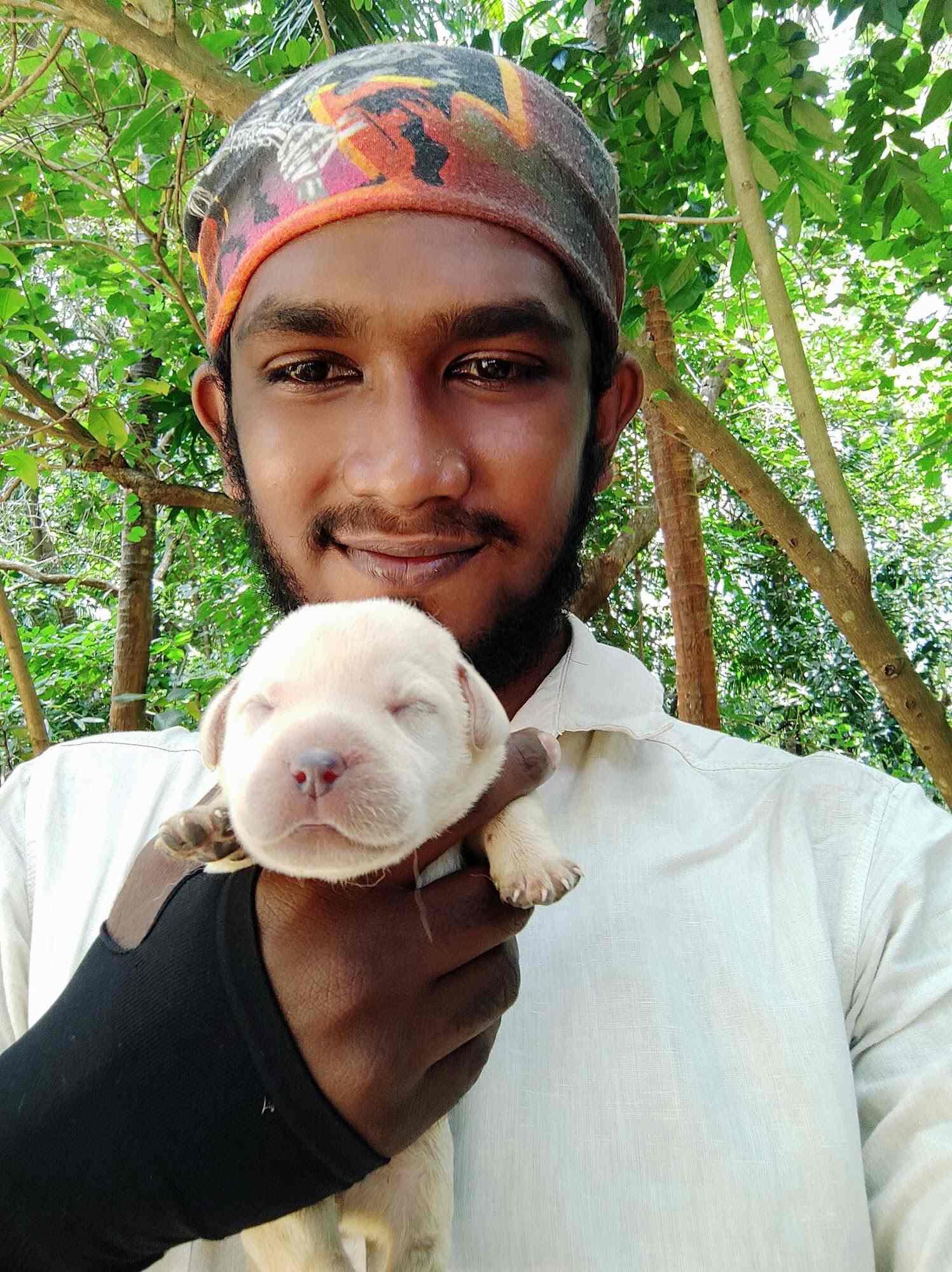 Top Pet Shops in Palakkad Best Pet Store near me Justdial