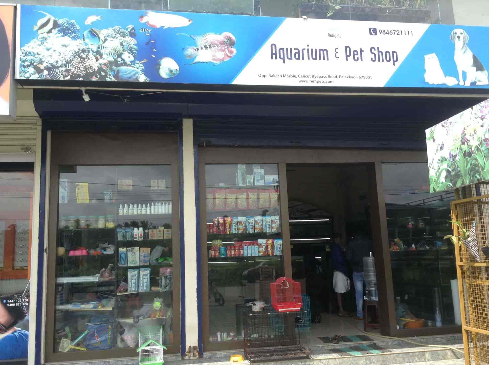 Top Pet Shops in Palakkad Best Pet Store near me Justdial