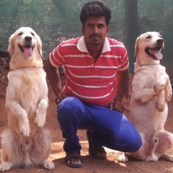 K9 Dog Training Centre Palakkad in Chittur College - Best Dog Training Centres in Palakkad - Justdial K9 Dog Training Centre Palakkad in Chittur College - Best Dog Training Centres in Palakkad - Justdial