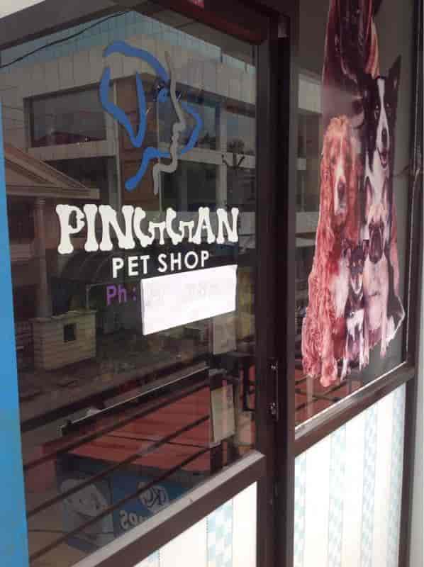 Top Pet Shops in Palakkad Best Pet Store near me Justdial