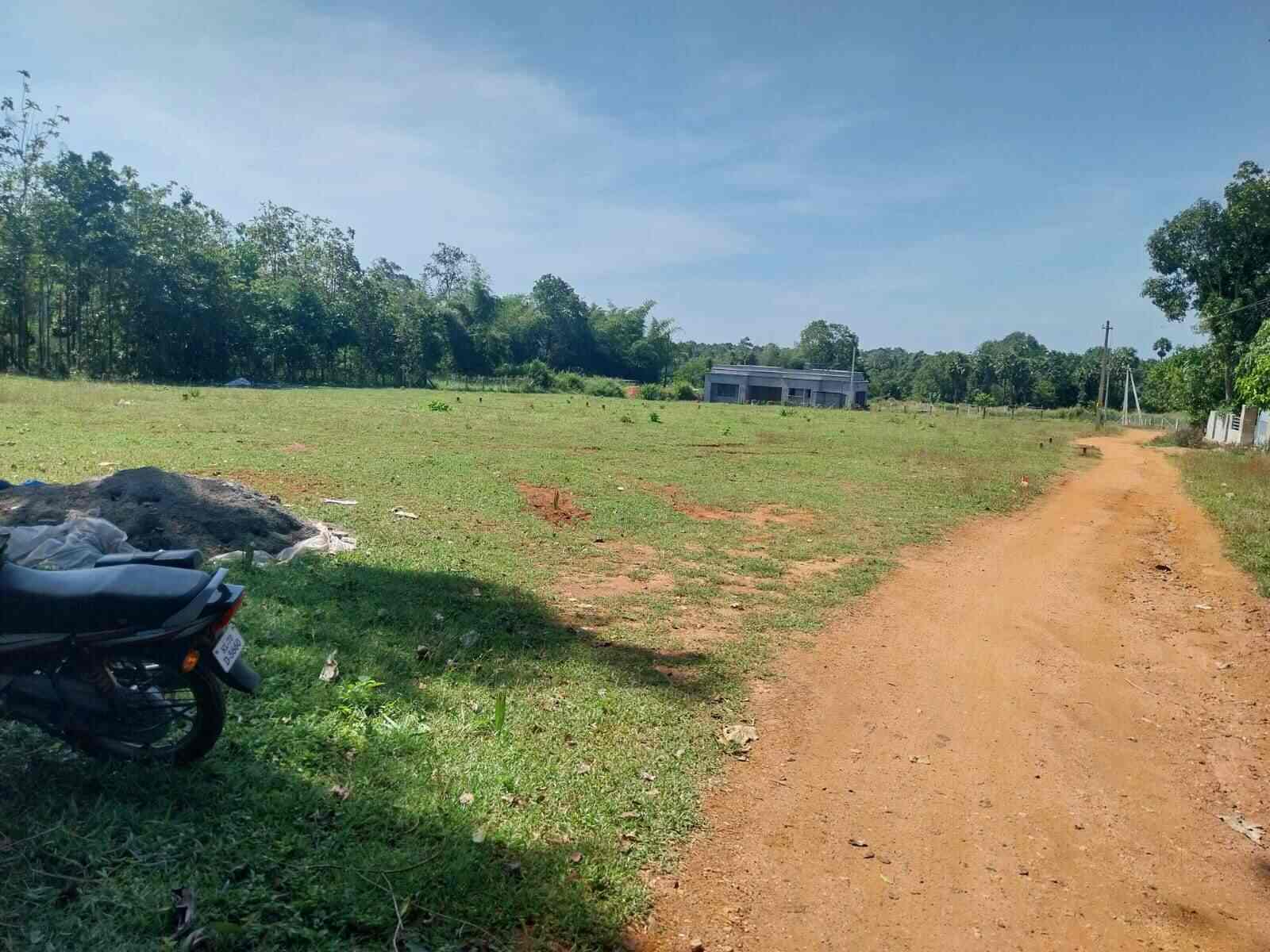 Top Real Estate Agents in Kottayi, Palakkad Best Estate Brokers