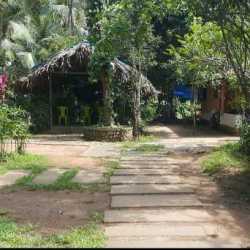Vedic Hermitage Ayur Mana Ayurvedic Treatment Centres Book Appointment Online Ayurvedic Treatment Centres In Panayur Palakkad Justdial