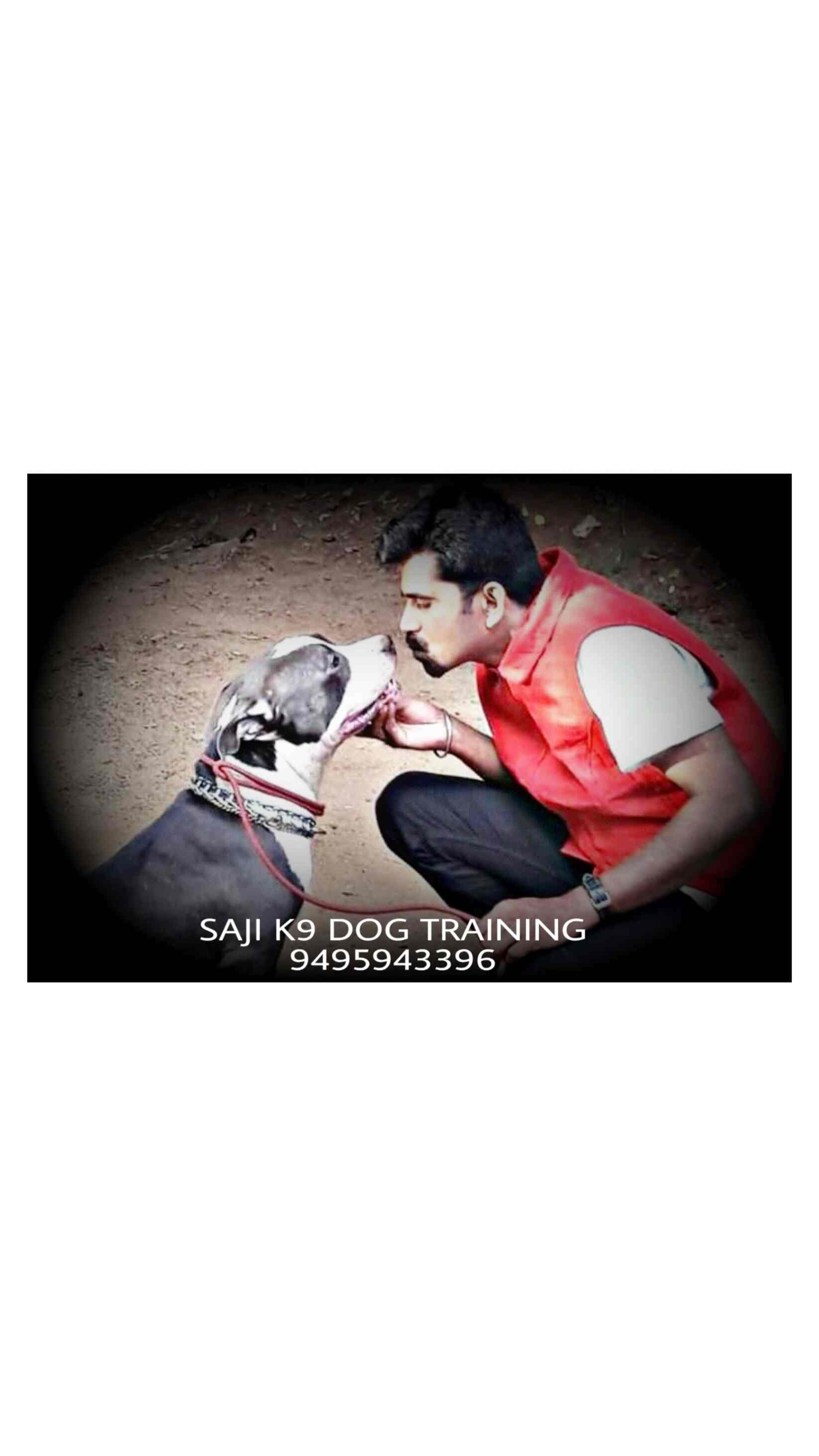 Top Dog Trainers in Pollachi Best Dog Training Centres Justdial