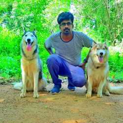K9 Dog Training in Chittur College - Best Dog Trainers in Palakkad - Justdial K9 Dog Training in Chittur College - Best Dog Trainers in Palakkad - Justdial