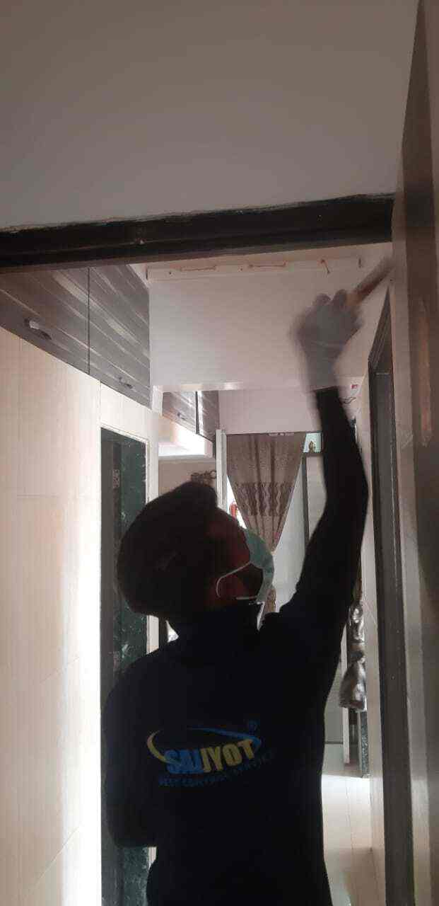 Find list of Sai Jyot Pest Control Service in Dadar West, Mumbai near