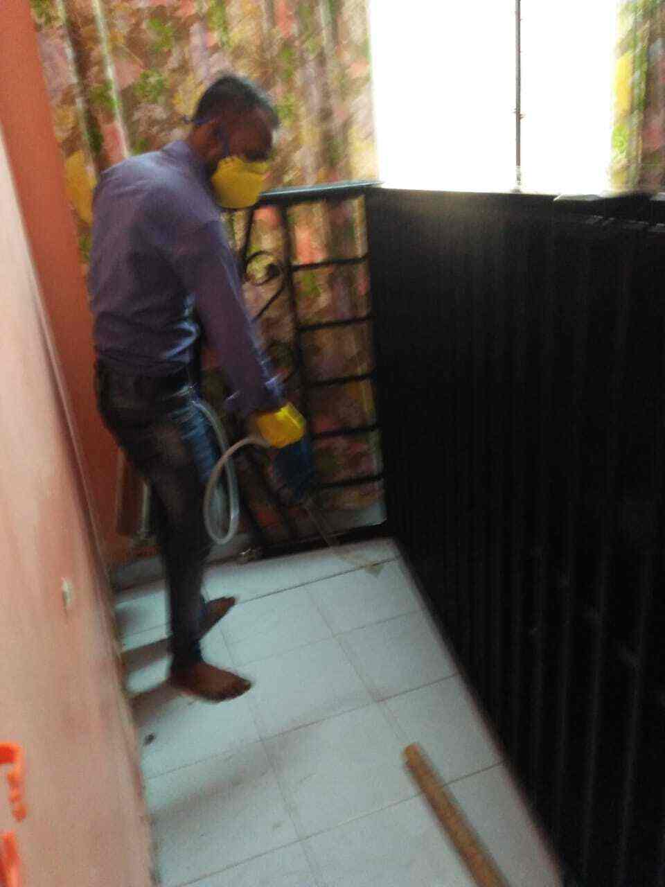 Find list of Sai Jyot Pest Control Service in Dadar West, Mumbai near