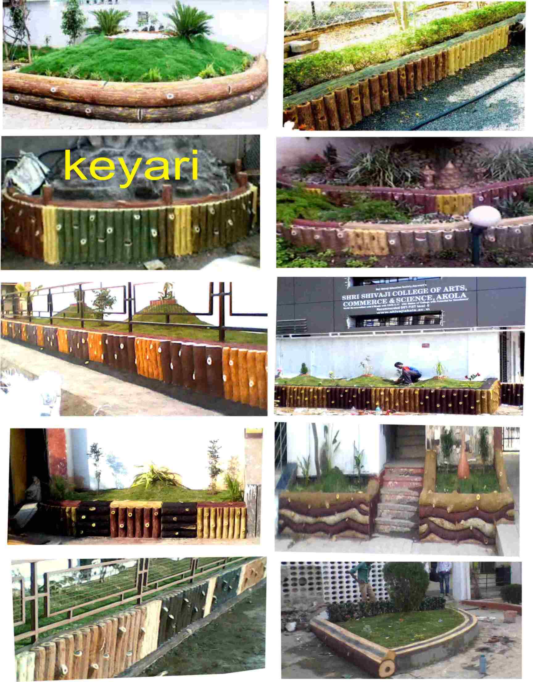 Bothra Nursery in Dahanu Road,Mumbai Best Plant Nurseries in Mumbai