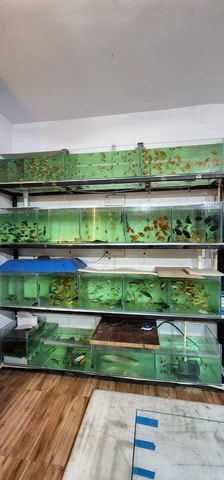 Aquarium manufacturers best sale