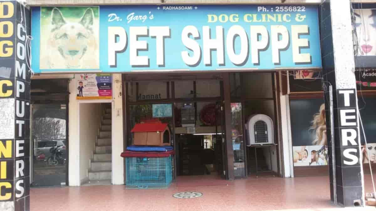 Top Veterinary Doctors in Panchkula, Chandigarh Best Animal Doctor