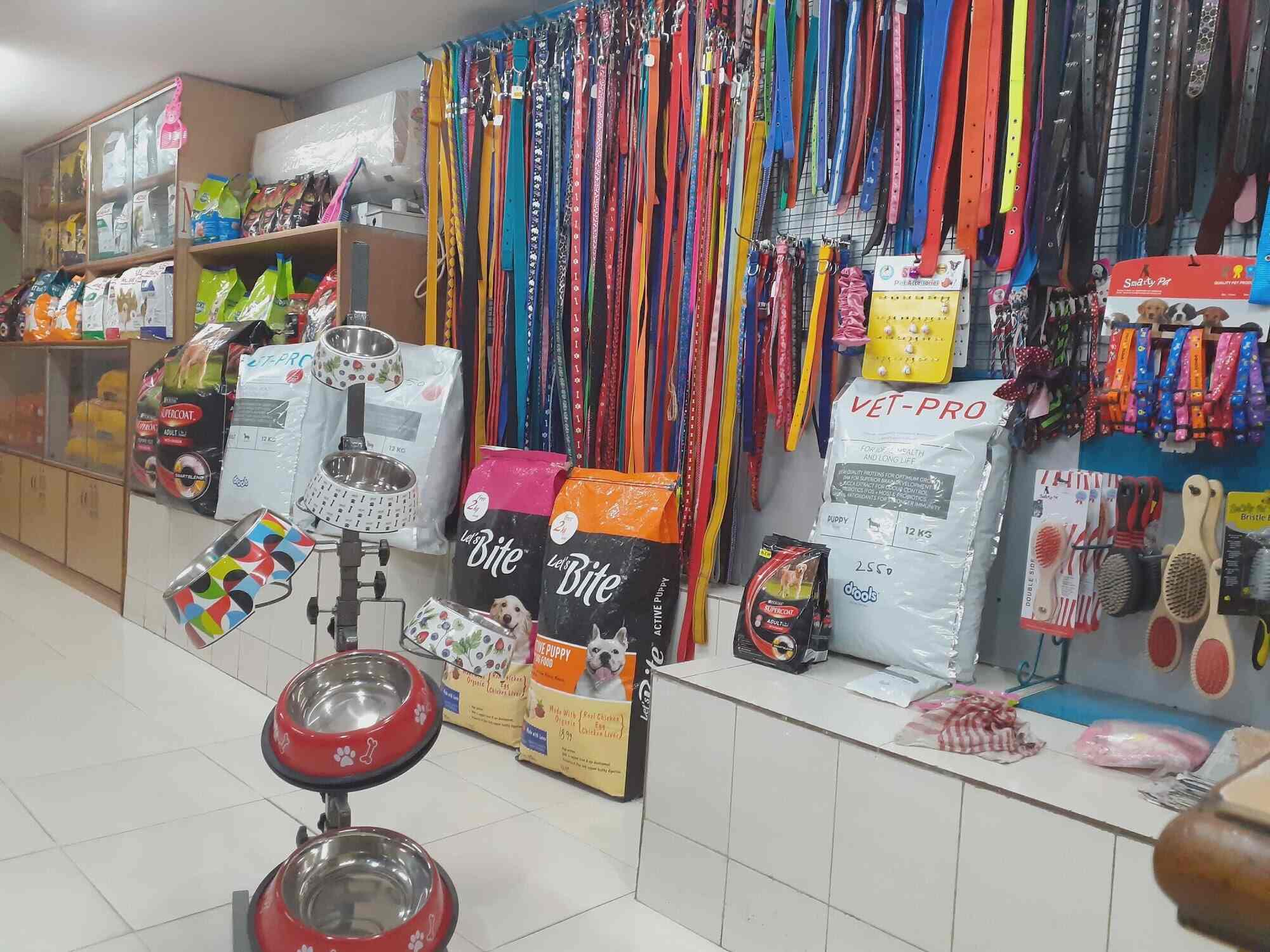 Top Veterinary Doctors in Panchkula, Chandigarh Best Animal Doctor