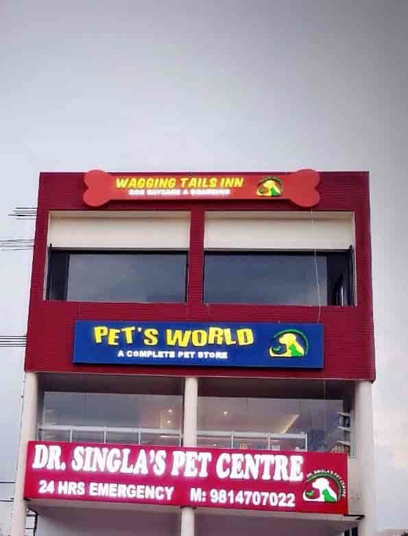 Pet store 24 hours near me best sale