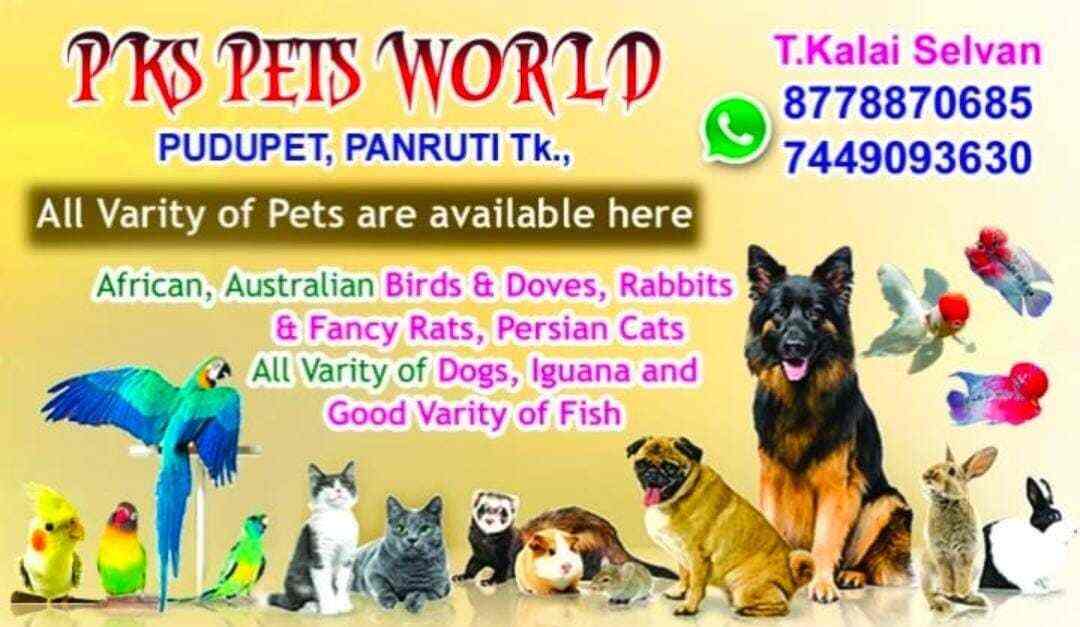 Top 70+ Animal bargarh