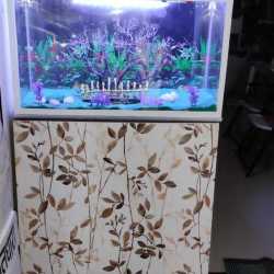 sobo 800f aquarium