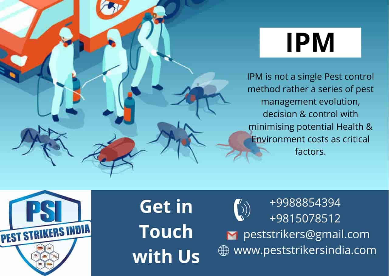 Top Bird Netting Services in Mohali Sas Nagar Best Bird Net