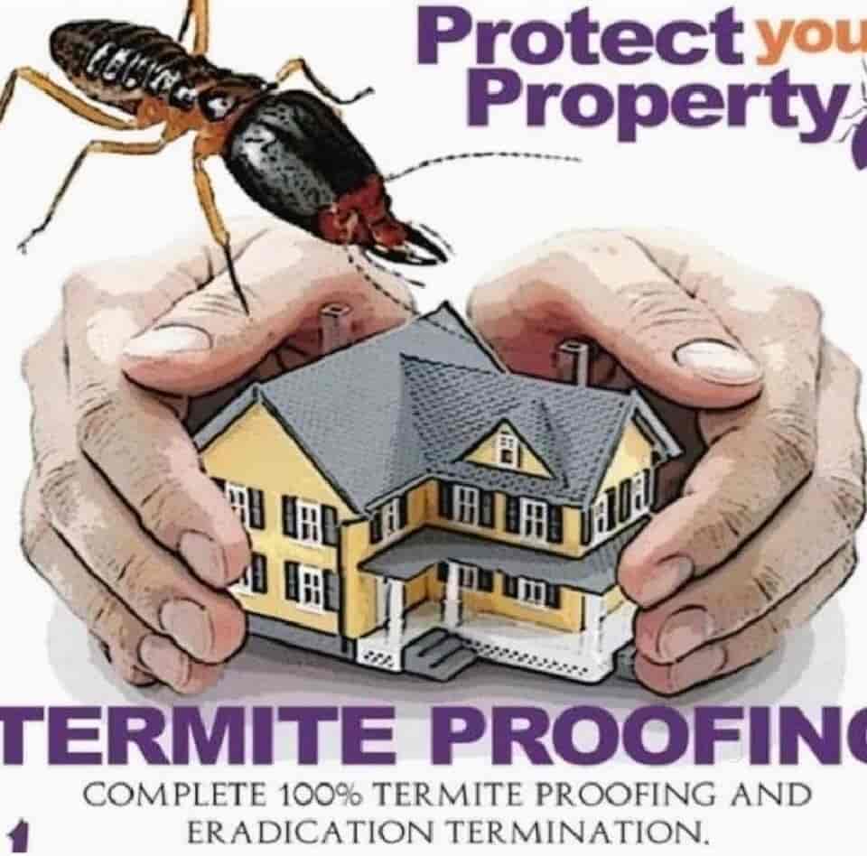 Top Bird Netting Services in Mohali Sas Nagar Best Bird Net