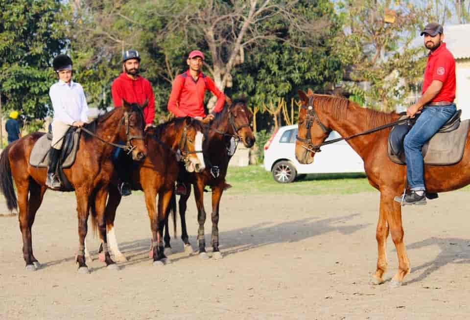 Top Horse Riding Schools in Jalandhar - Best Horse Riding Training Centers  near me - Justdial