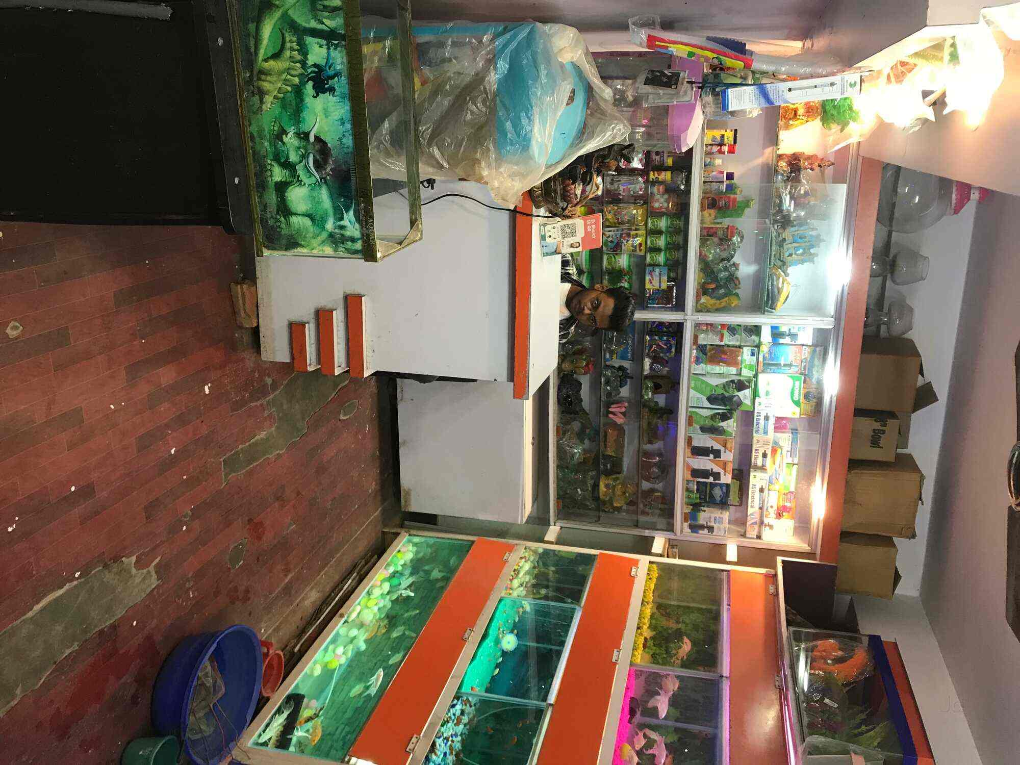 Top Sobo Fish Tank Distributors in Ahmedabad फिश टैंक