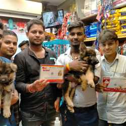 raj pet shop