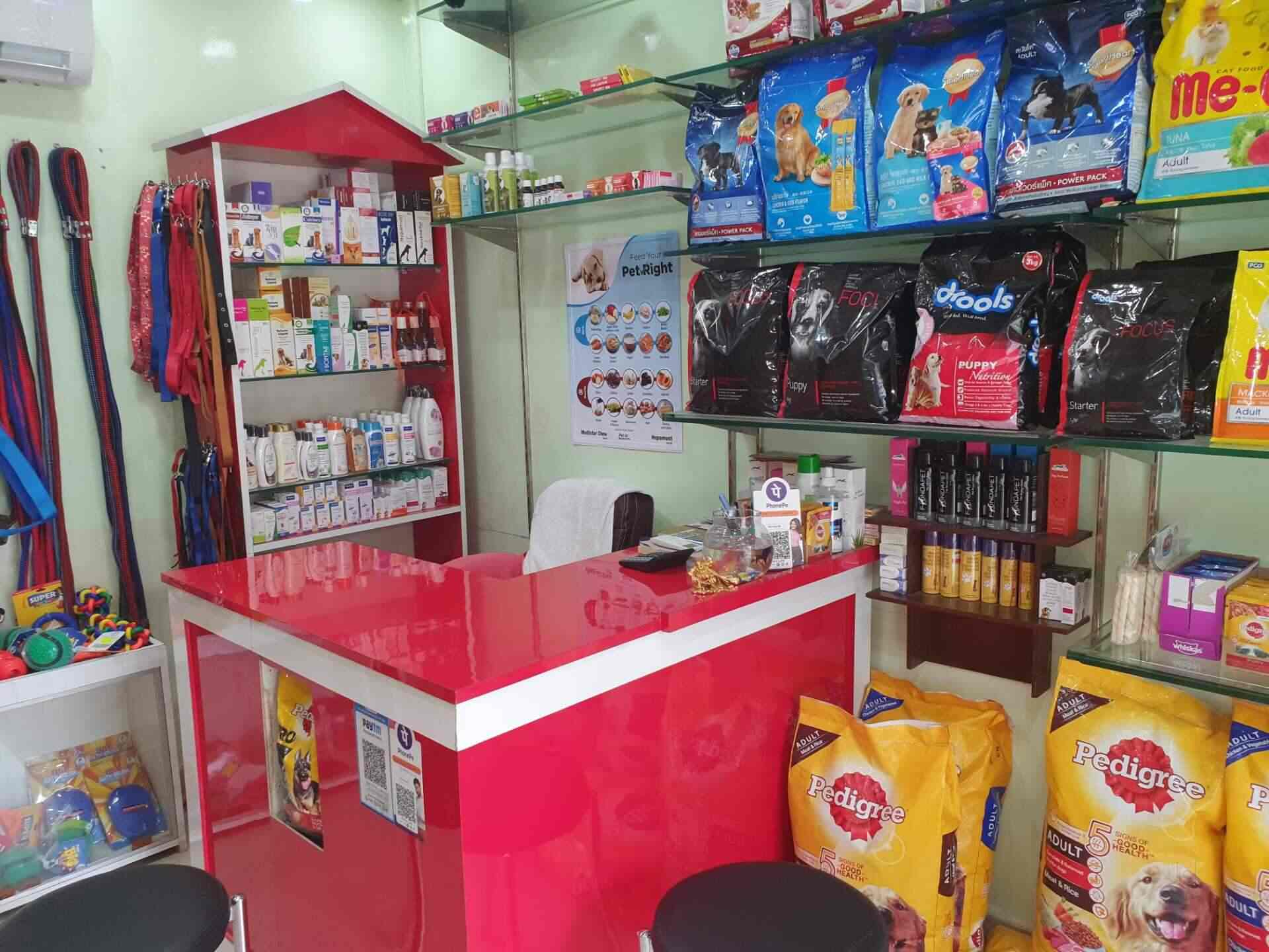 Pets Corner in Ashiana Nagar Patna Best Pet Shops For Dog in