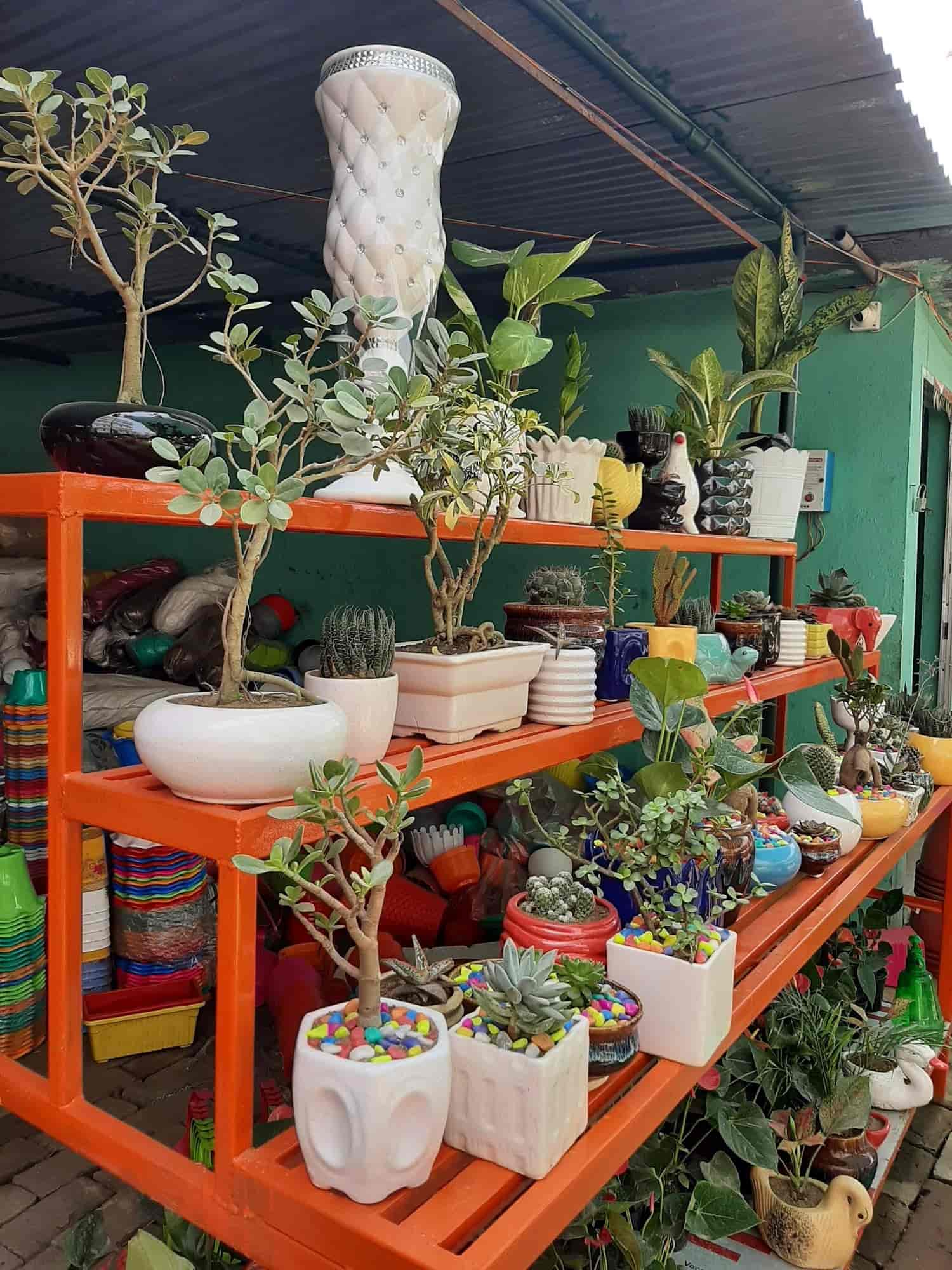 Green Nursery in Anisabad,Patna Best Fruit Plant Nurseries in Patna