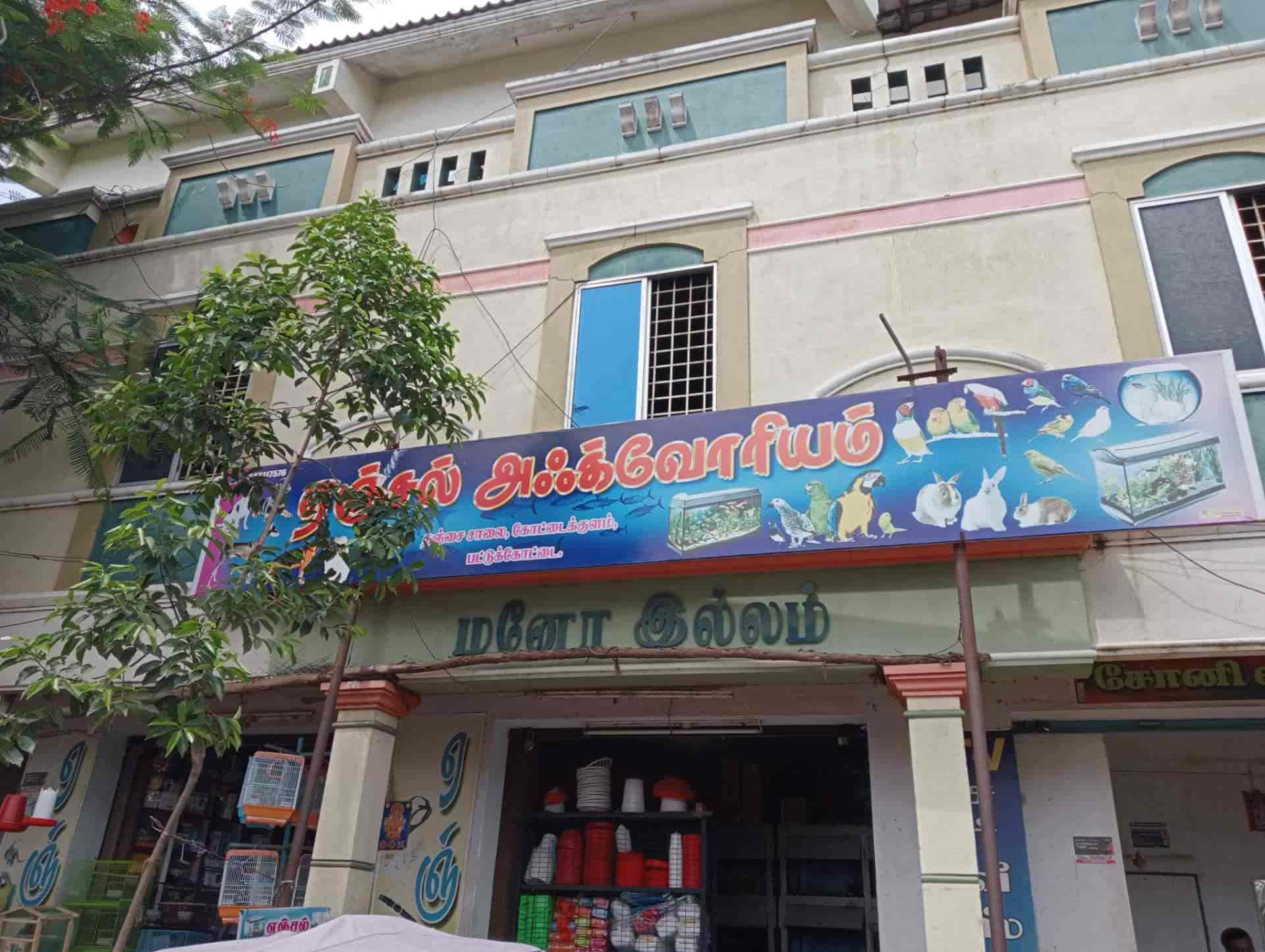 Top Fish Aquarium Dealers in Pattukottai Best Fish Aquarium Shops