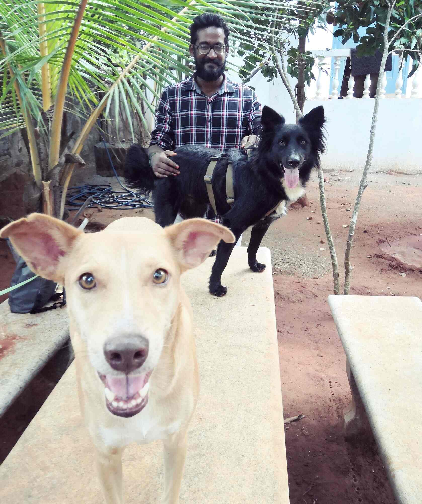 Vige.Dr in Lawspet Pondicherry,Pondicherry Best 24 Hours Veterinary