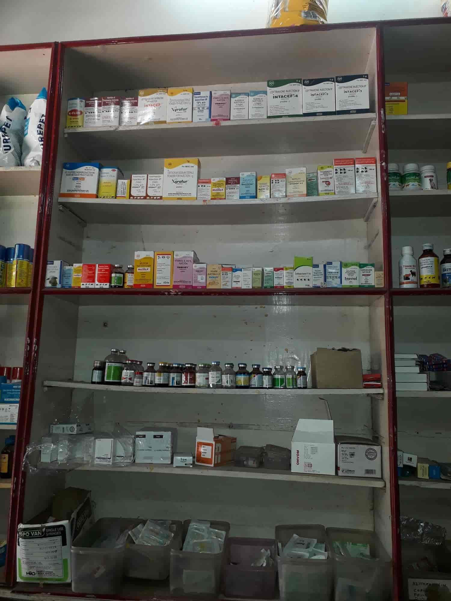 Sri Ram Pharmacy in Mettupalayam,Pondicherry Best Pet Shops in