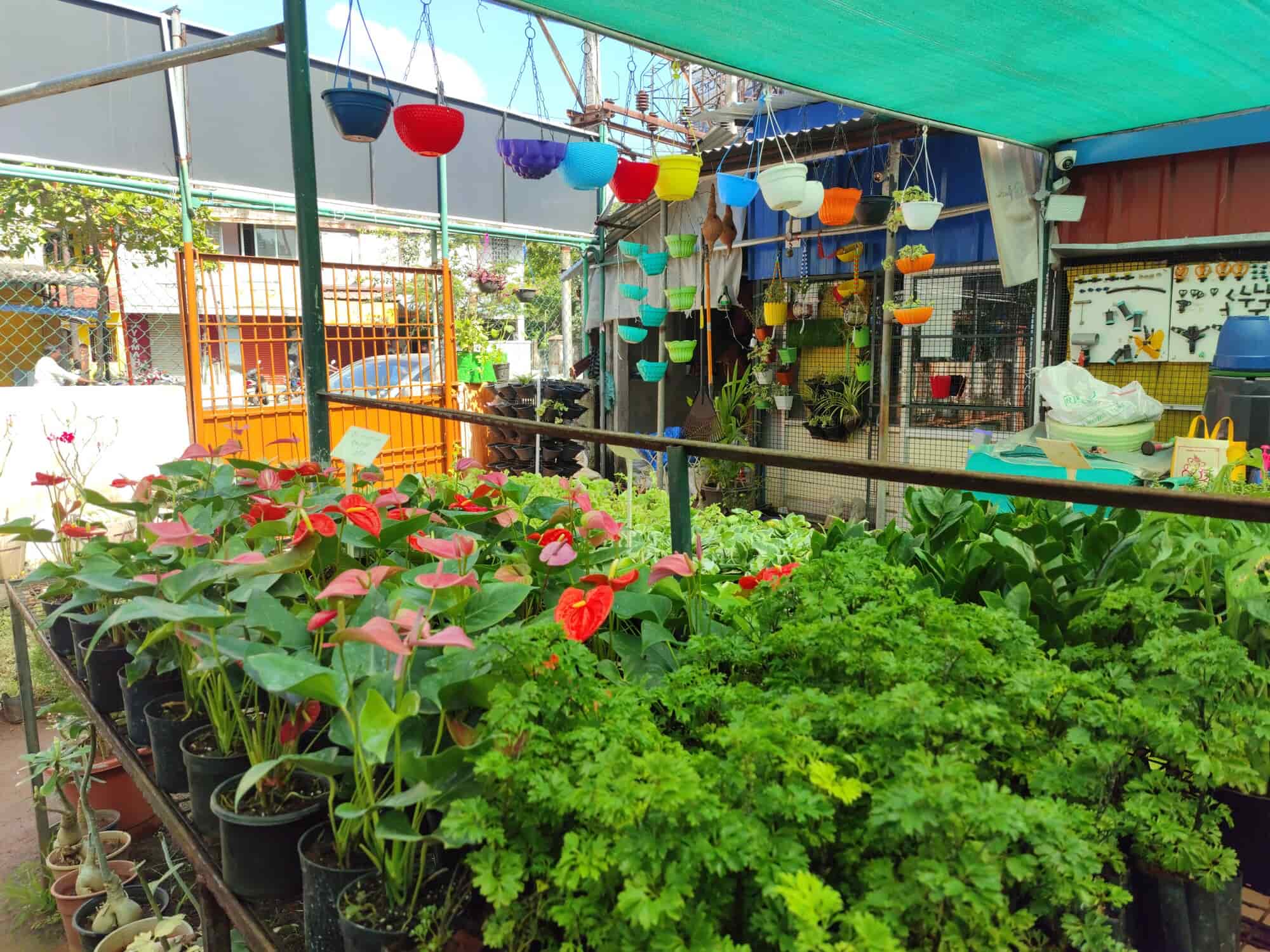 Top Nursery Plants Manufacturers in Nellithope, Pondicherry नर्सरी