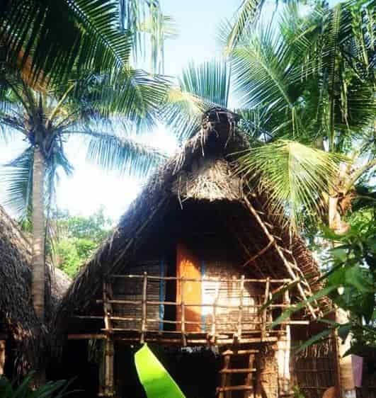 Blue Lagoon Auroville Hotels In Pondicherry Justdial