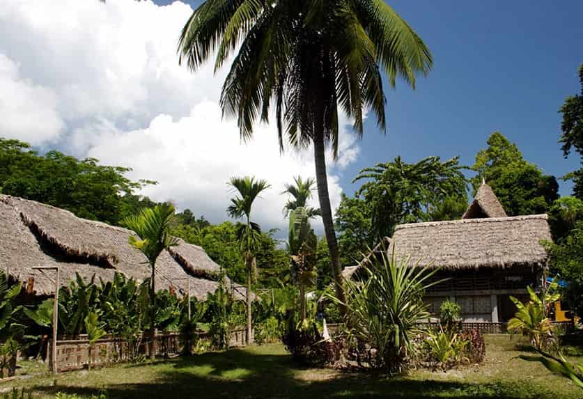 The Wild Orchid Resort Havelock Hotels In Port Blair Justdial
