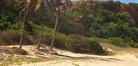 Top Car Rental On Monthly Basis In Port Blair Best Car On Lease