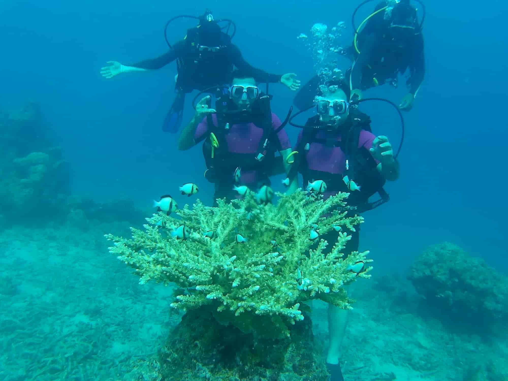 Top Scuba Diving Services in Port Blair - Best Scuba Diving near me -  Justdial