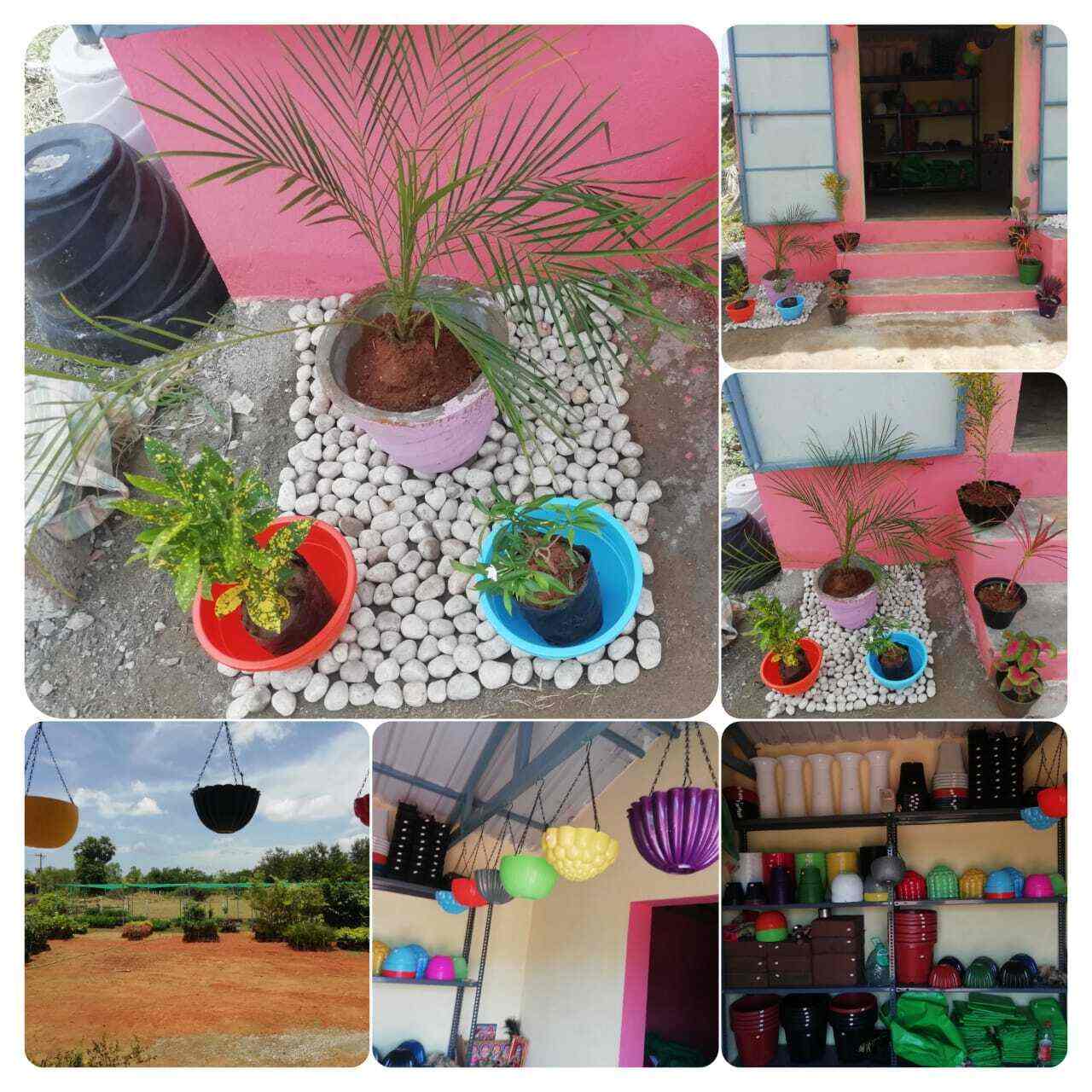 Top Plant Nurseries in Keelathur,Alangudi Best Government Plant