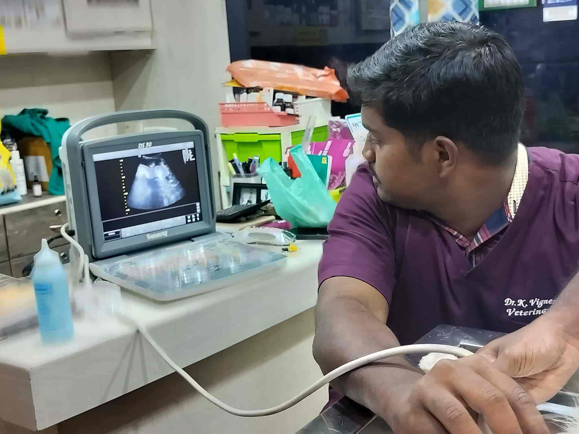 Sai Pet Clinic and Pet Shop in Uzhavar Santhai Opposite,Pudukkottai