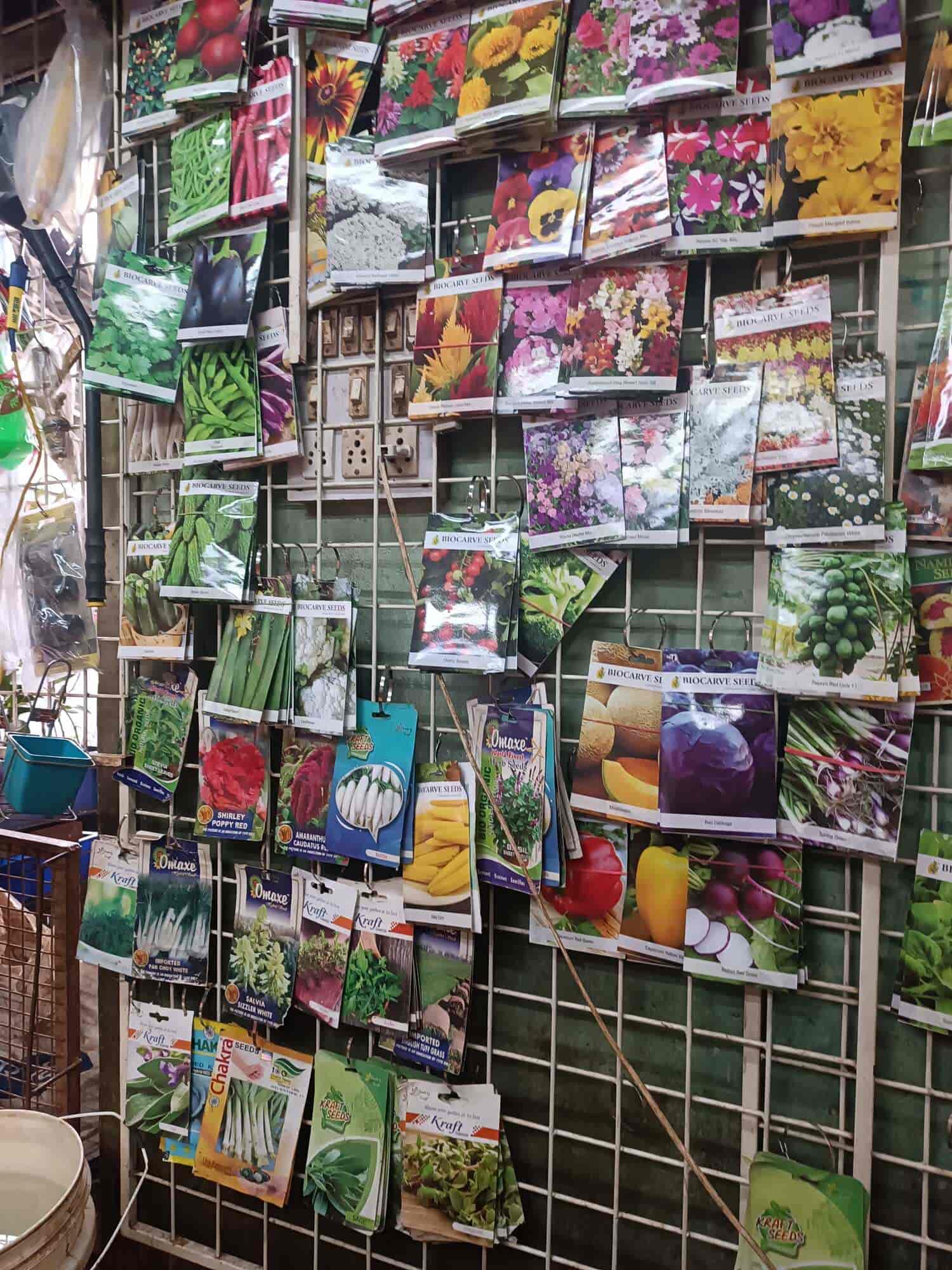 Top Plant Nurseries in Quarter Gate,Pune Best Government Plant Nurseries near me Justdial