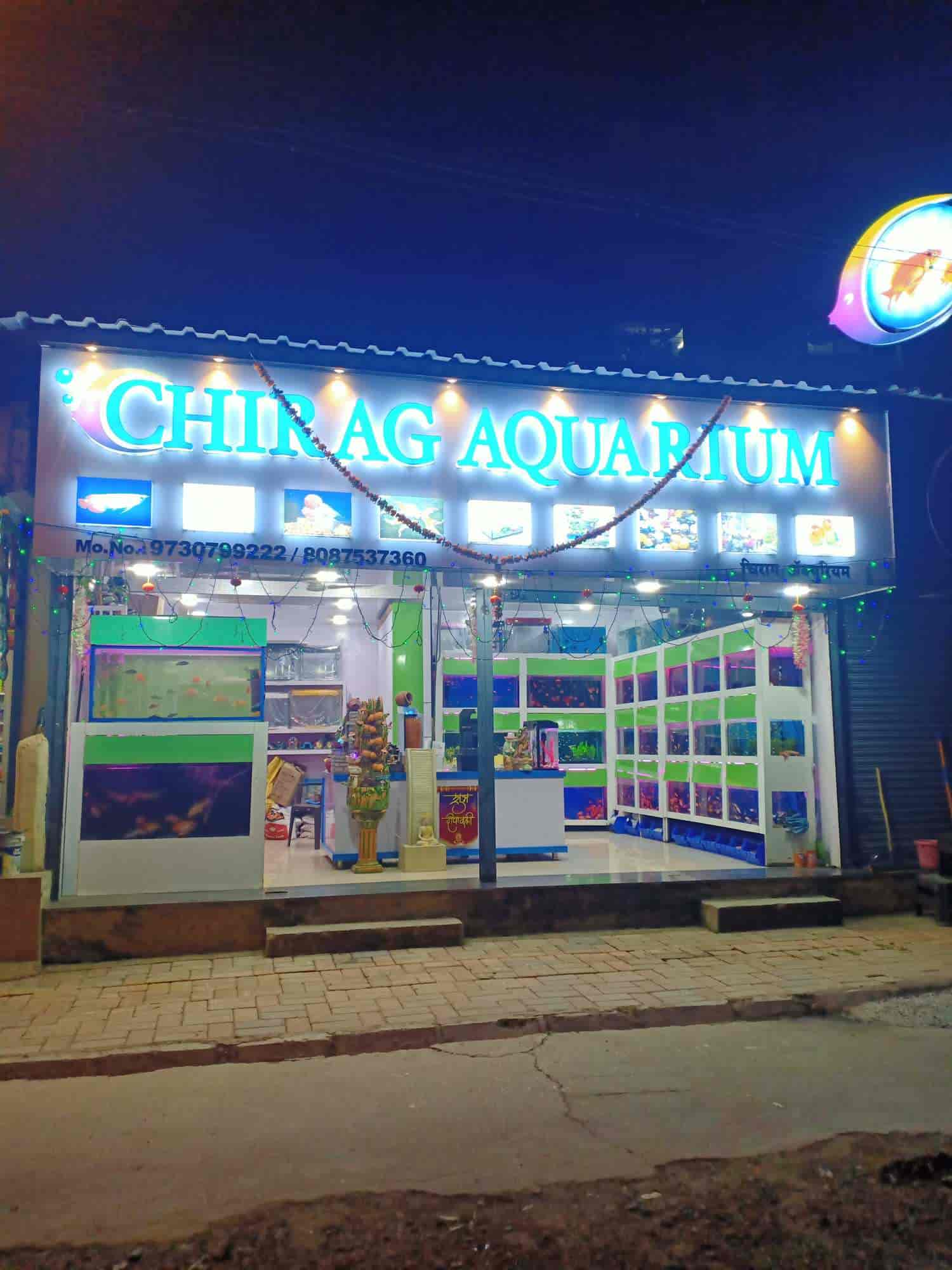 Chirag Aquarium in Pimple Saudagar,Pune Best Aquarium Accessory