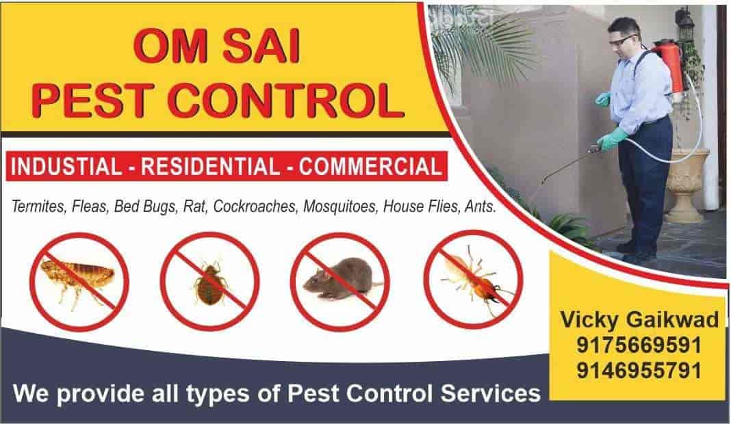 Top Mosquitoes Pest Control Services in Pimple Saudagar Best