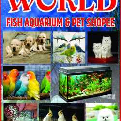 Aquarium clearance bird cage